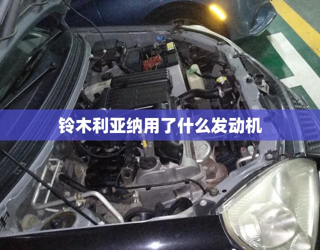 铃木利亚纳用了什么发动机