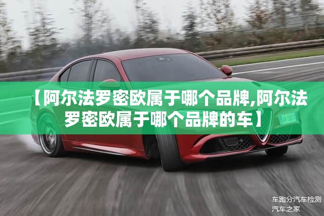 【阿尔法罗密欧属于哪个品牌,阿尔法罗密欧属于哪个品牌的车】
