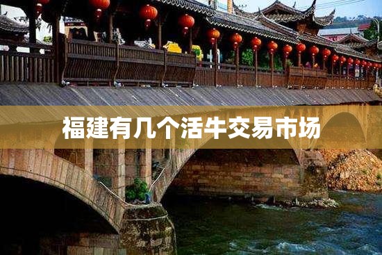 福建有几个活牛交易市场