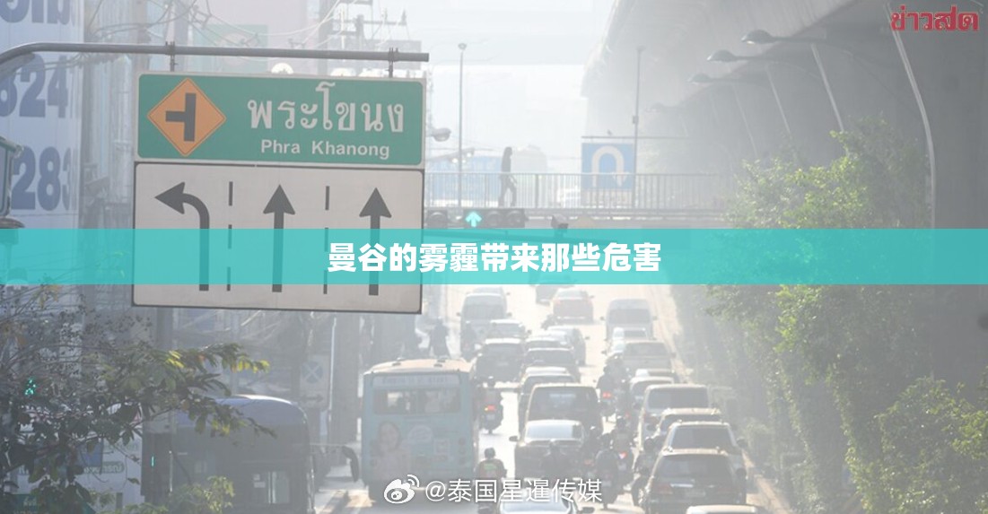 曼谷的雾霾带来那些危害 曼谷的雾霾带来那些危害