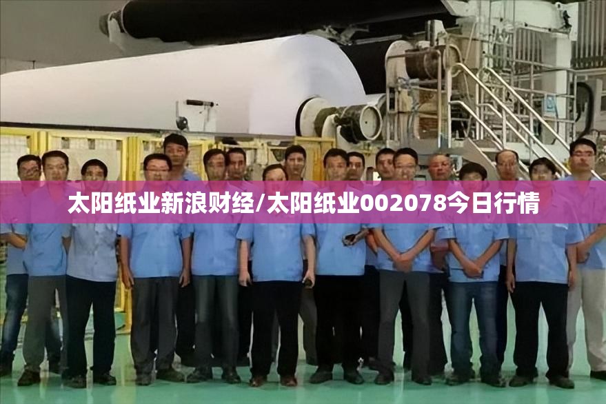 太阳纸业新浪财经/太阳纸业002078今日行情