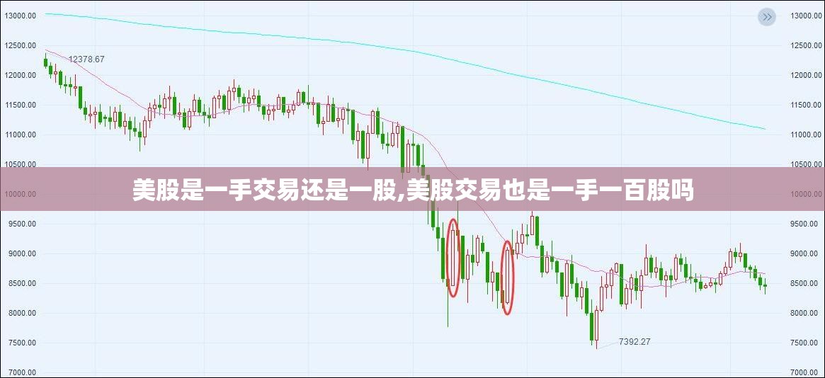 美股是一手交易还是一股,美股交易也是一手一百股吗