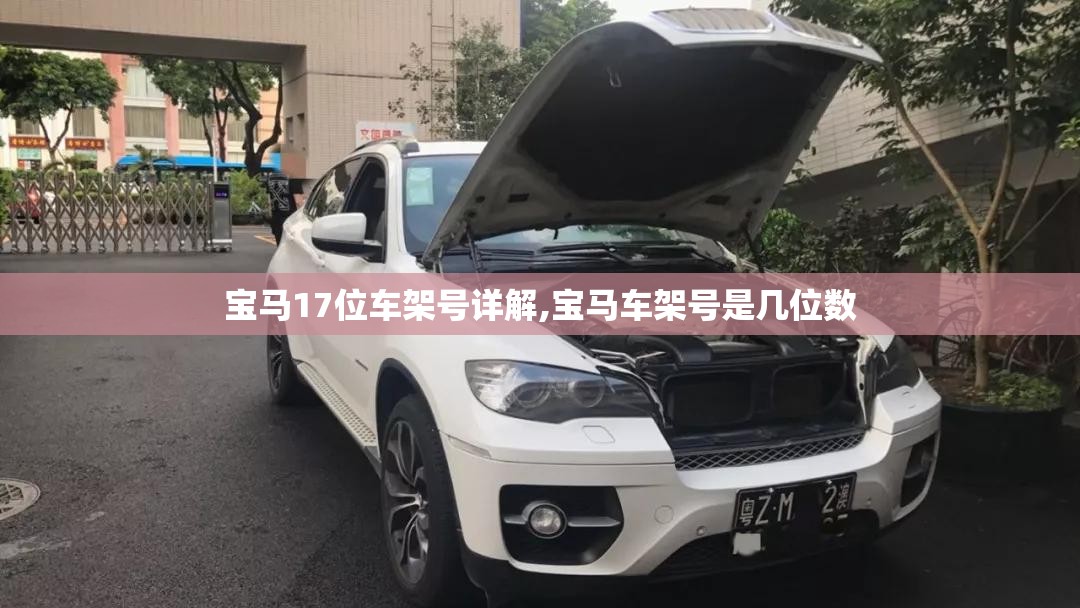 宝马17位车架号详解,宝马车架号是几位数