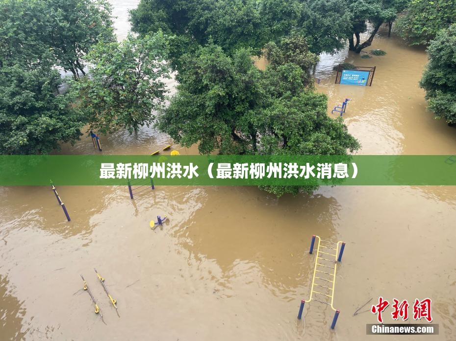 【香港适合几月份去旅游/香港比较好的旅游时间是什么时候?】