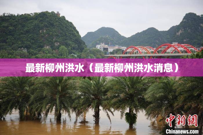 最新柳州洪水(最新柳州洪水消息) 最新柳州洪水(最新柳州洪水消息)