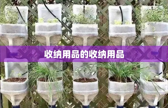 收纳用品的收纳用品