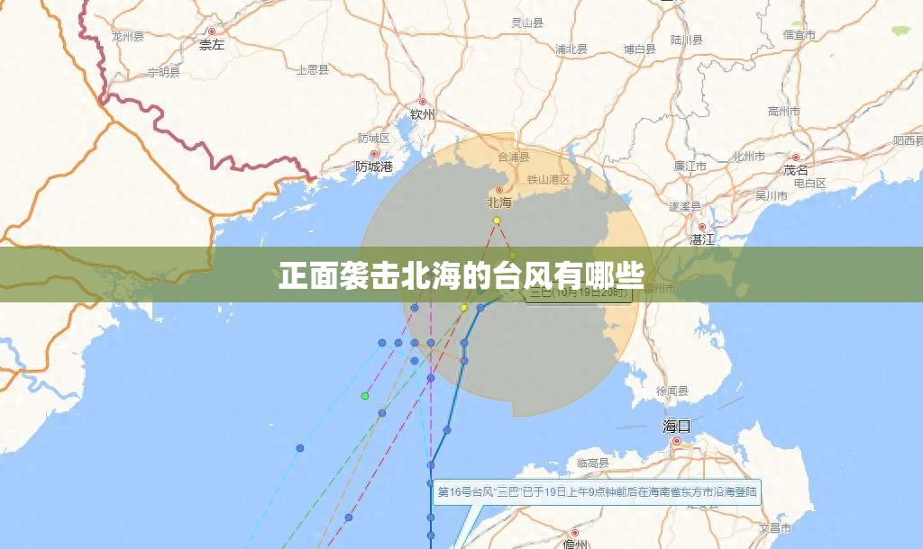11款帕萨特轮毂多少寸
