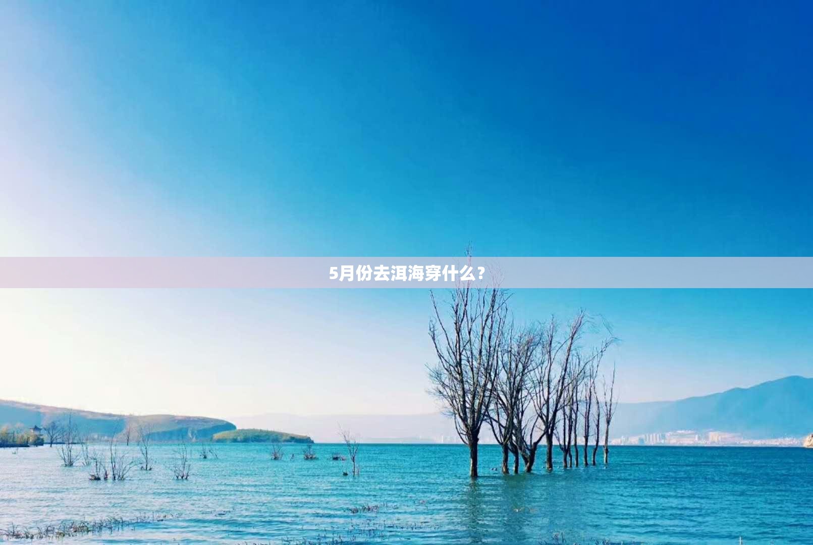 【深圳坪山天气预报,深圳坪山天气预报十五天】