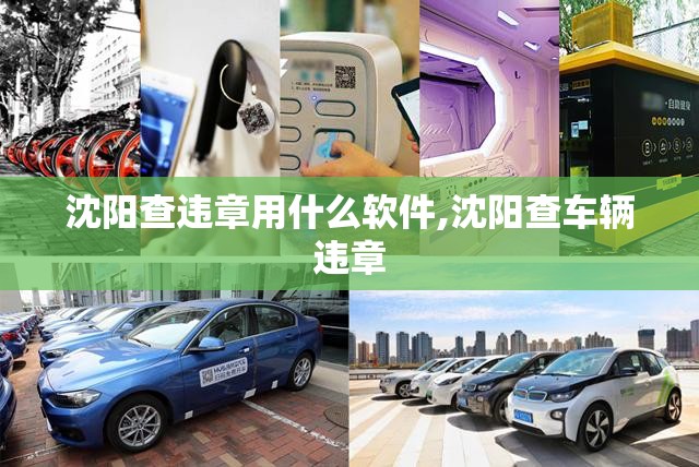 沈阳查违章用什么软件,沈阳查车辆违章