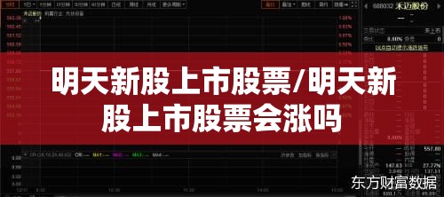 明天新股上市股票/明天新股上市股票会涨吗