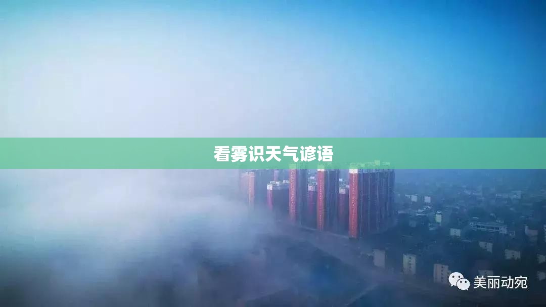 看雾识天气谚语 看雾识天气谚语