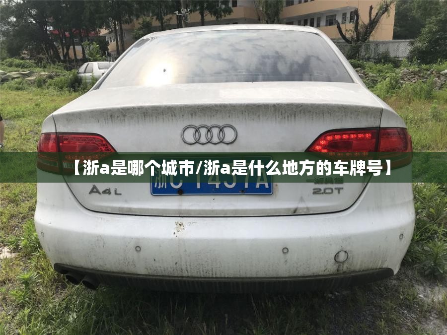 【浙a是哪个城市/浙a是什么地方的车牌号】