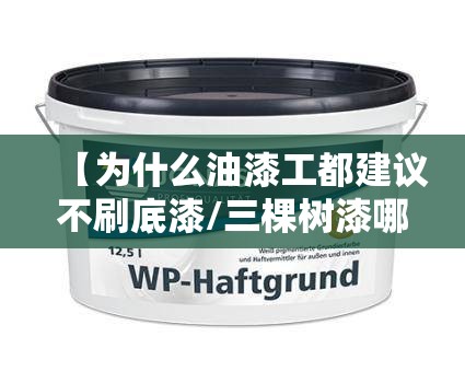 【为什么油漆工都建议不刷底漆/三棵树漆哪个款比较好】