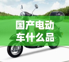 国产电动车什么品牌的比较好