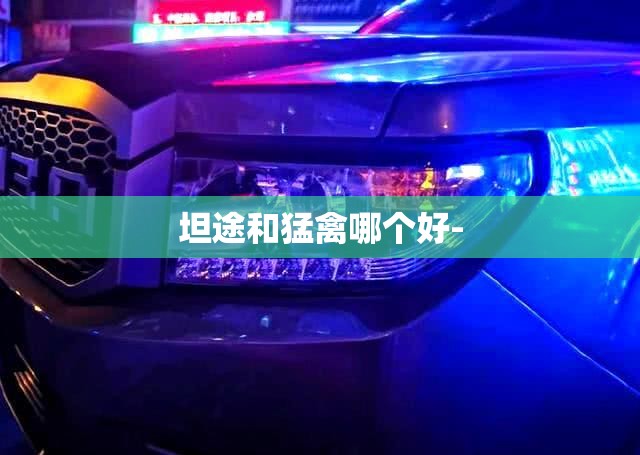 坦途和猛禽哪个好-