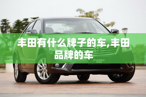 丰田有什么牌子的车,丰田品牌的车