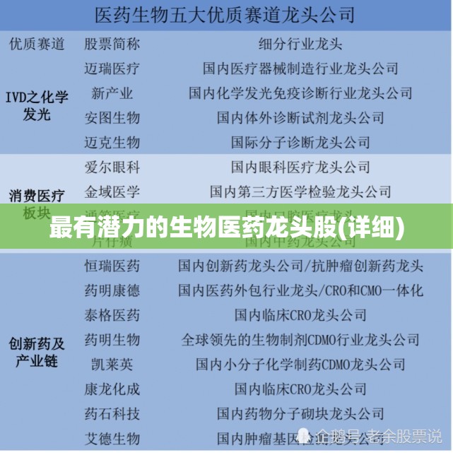 最有潜力的生物医药龙头股(详细) 最有潜力的生物医药龙头股(详细)