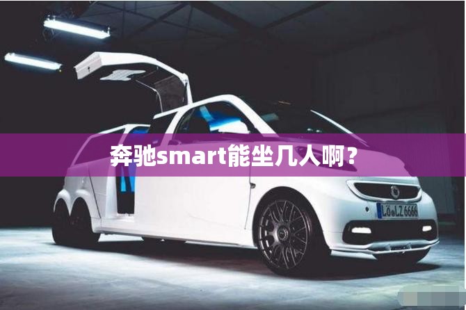 奔驰smart能坐几人啊？