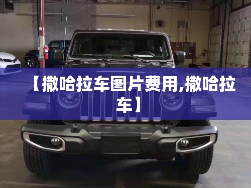 军用劳保鞋（军用劳保鞋3517）