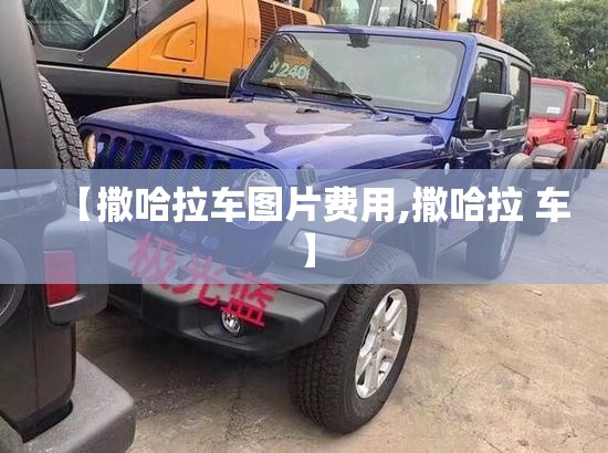 【撒哈拉车图片费用,撒哈拉 车】