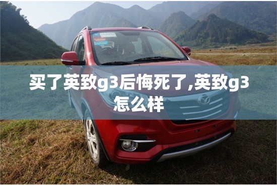 买了英致g3后悔死了,英致g3怎么样 买了英致g3后悔死了,英致g3怎么样