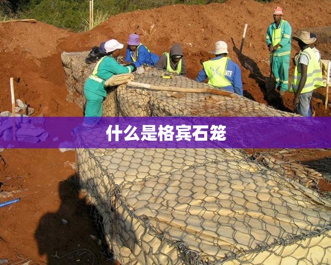 宁波541路公交车早班车几点