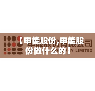 【申能股份,申能股份做什么的】