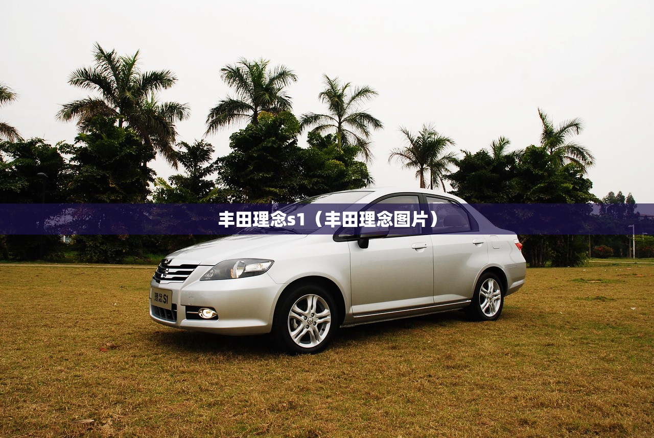 丰田理念s1（丰田理念图片）