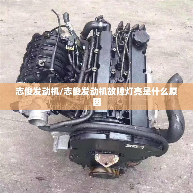 志俊发动机/志俊发动机故障灯亮是什么原因