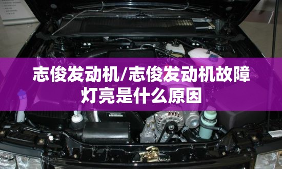 志俊发动机/志俊发动机故障灯亮是什么原因