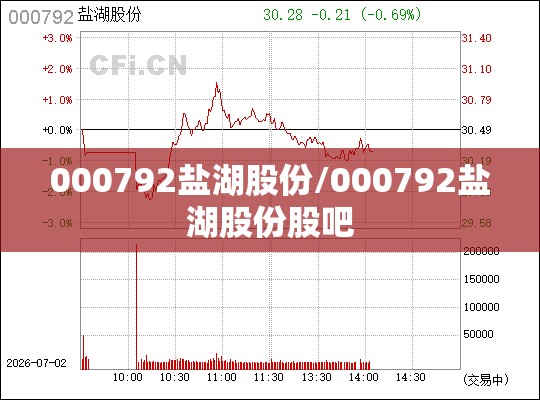 000792盐湖股份/000792盐湖股份股吧