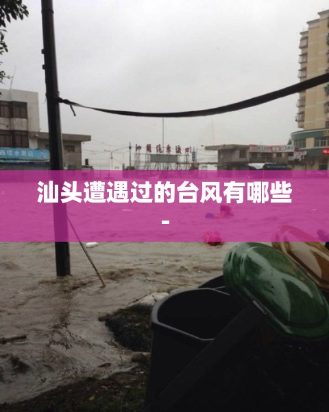 汕头遭遇过的台风有哪些-