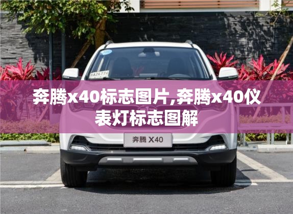 奔腾x40标志图片,奔腾x40仪表灯标志图解