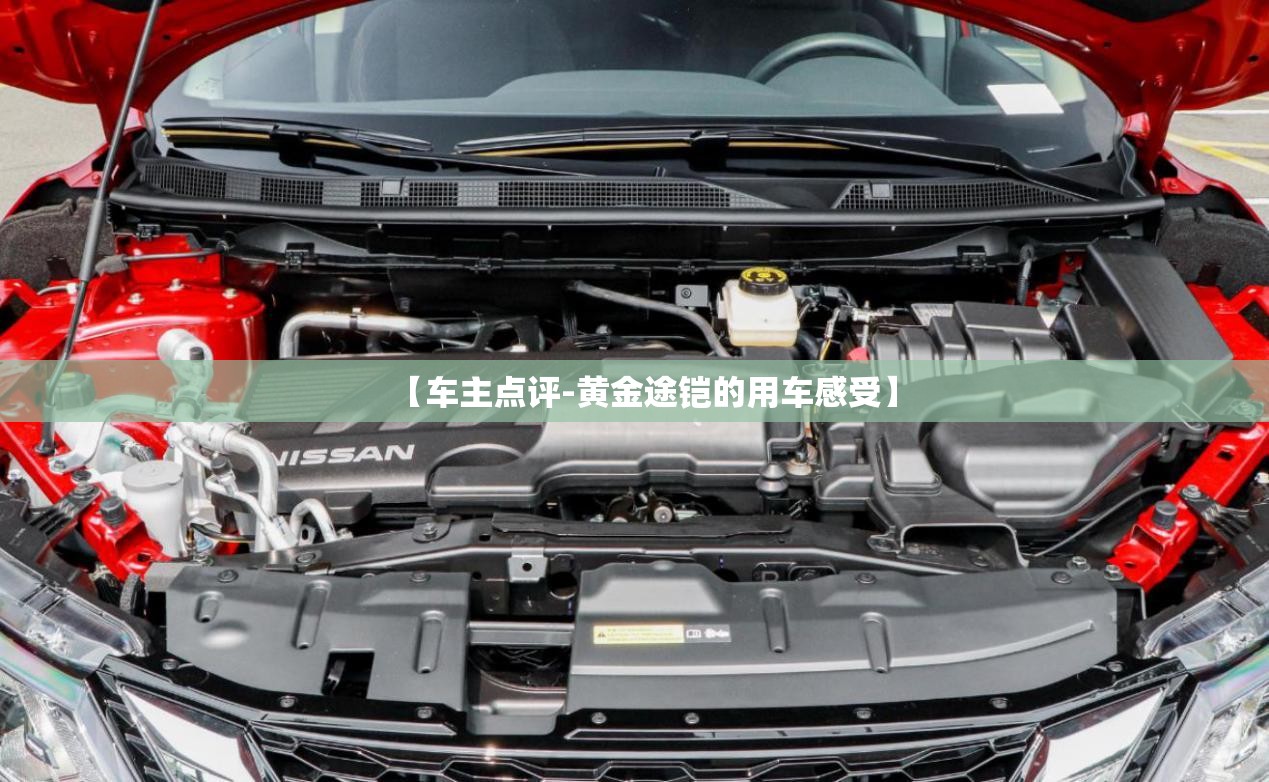 【台风云雀最新,台风云雀奇葩路径】