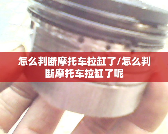 中国能建专家预测涨到多少钱