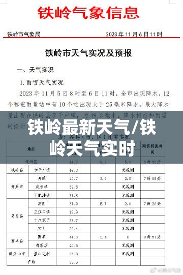 名牌包包标志和案