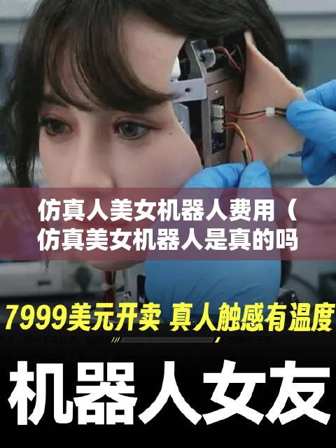 仿真人美女机器人费用（仿真美女机器人是真的吗）