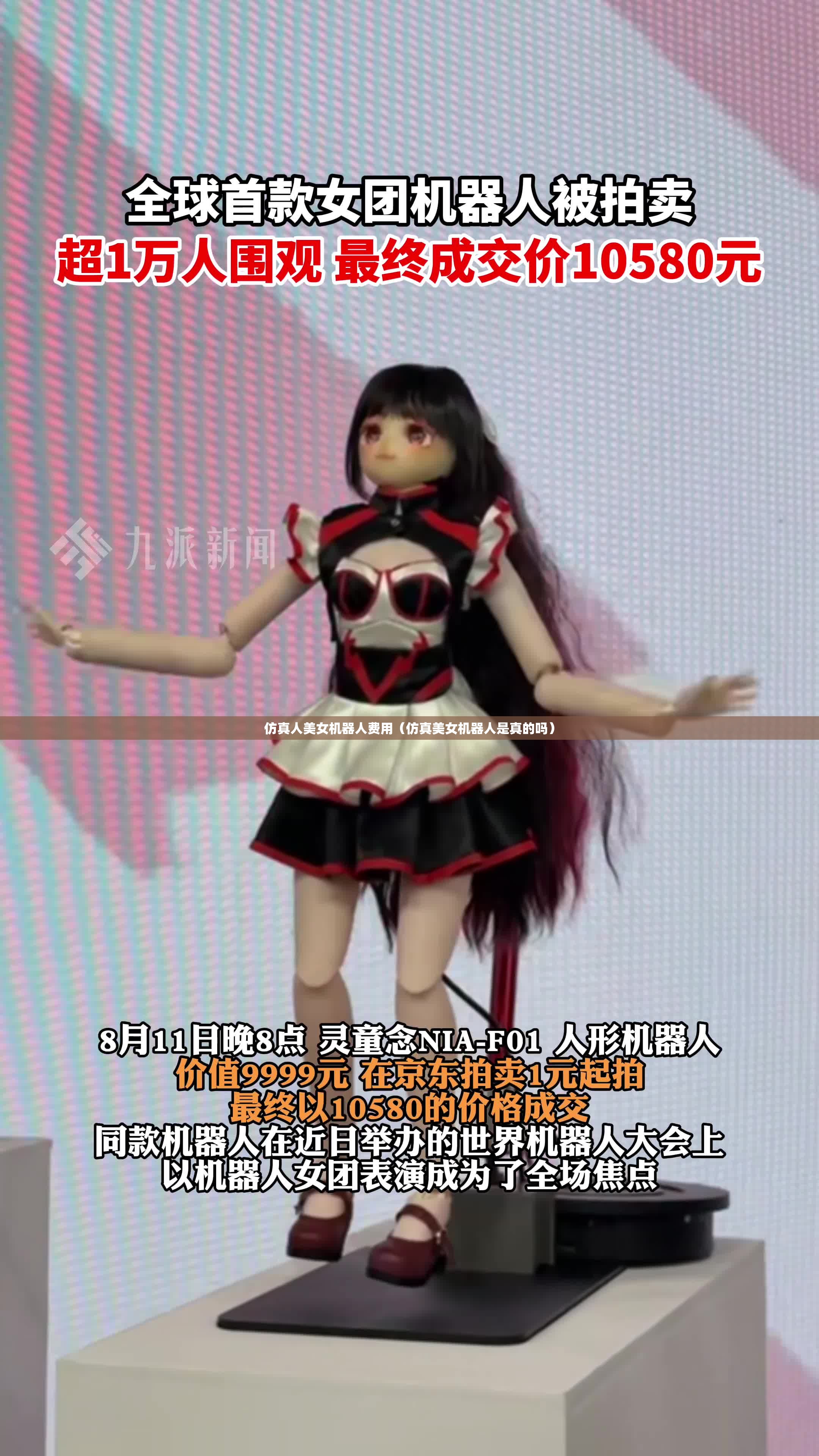 仿真人美女机器人费用（仿真美女机器人是真的吗）