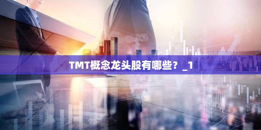 TMT概念龙头股有哪些?_1 TMT概念龙头股有哪些?_1
