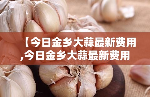【600520股票行情/股票行情600595】