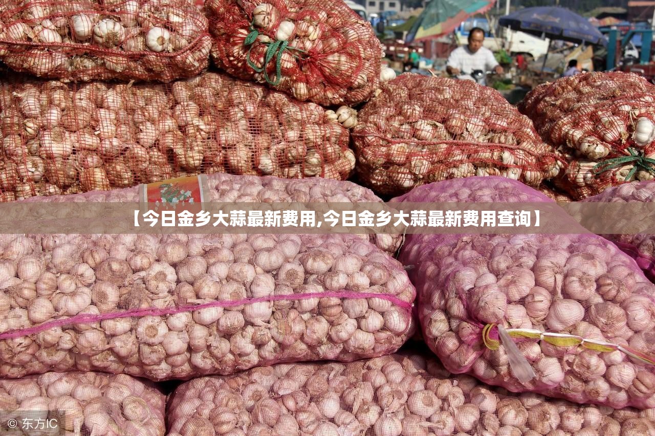 【今日金乡大蒜最新费用,今日金乡大蒜最新费用查询】