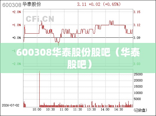 600308华泰股份股吧（华泰 股吧）
