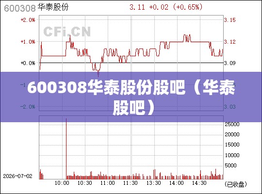 600308华泰股份股吧（华泰 股吧）