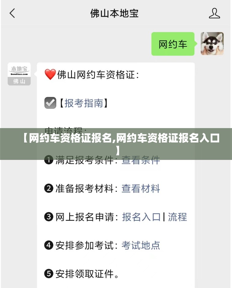 中国股市官方网站（中国股票官方网站下载安装）