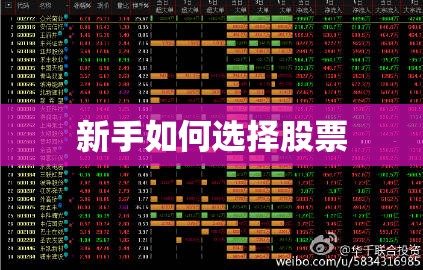 新手如何选择股票 新手如何选择股票