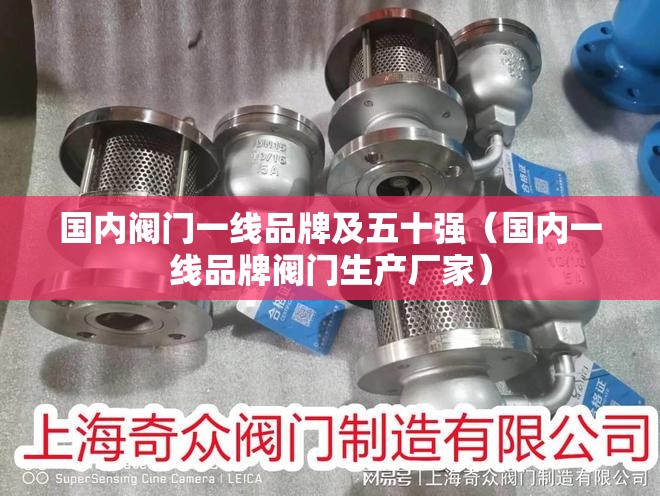 国内阀门一线品牌及五十强（国内一线品牌阀门生产厂家）