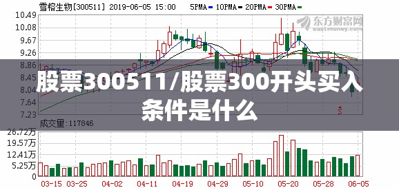 股票300511/股票300开头买入条件是什么