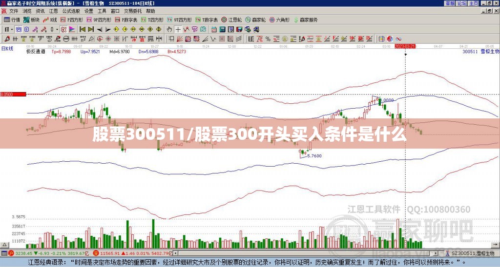 股票300511/股票300开头买入条件是什么