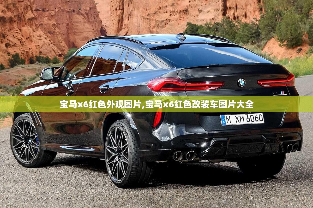 力帆620的保养