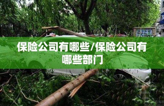 【一汽车联app/一汽车联网不好用】